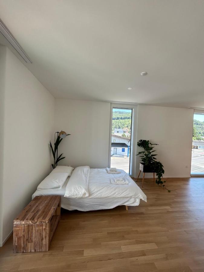The R Apartment Passwang, Klima, Neu, Balkon, Parking Balsthal المظهر الخارجي الصورة