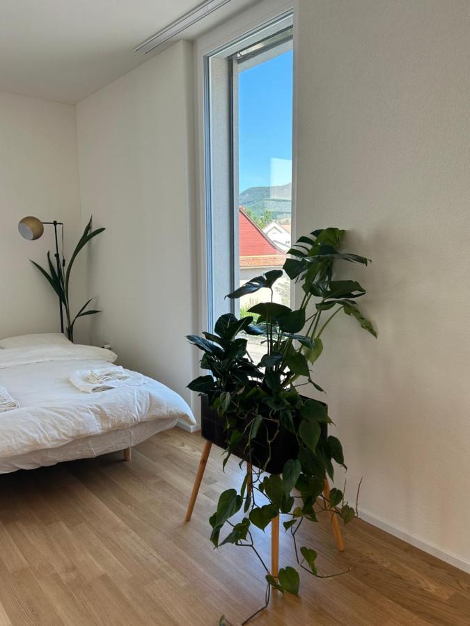 The R Apartment Passwang, Klima, Neu, Balkon, Parking Balsthal المظهر الخارجي الصورة