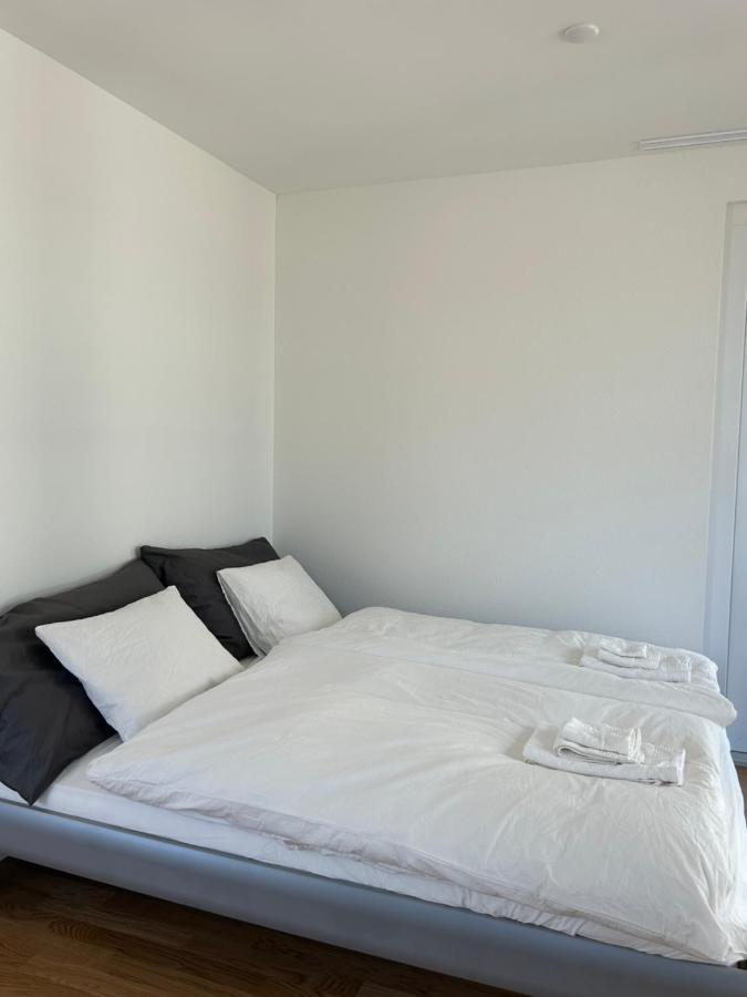 The R Apartment Passwang, Klima, Neu, Balkon, Parking Balsthal المظهر الخارجي الصورة
