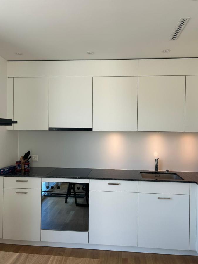 The R Apartment Passwang, Klima, Neu, Balkon, Parking Balsthal المظهر الخارجي الصورة