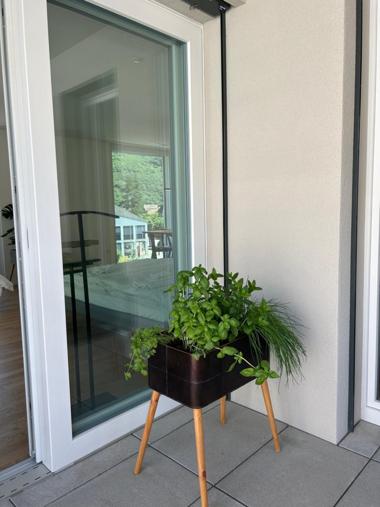 The R Apartment Passwang, Klima, Neu, Balkon, Parking Balsthal المظهر الخارجي الصورة